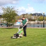 Lawn Mowing & Grass Cutting Services