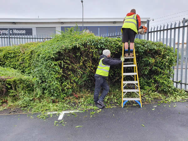 commercial garden service Knutsford