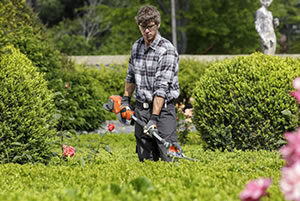 Hedge Trimming