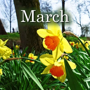 Things to do in the garden in March