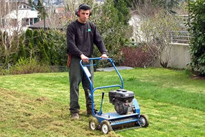 Scarification & aeration